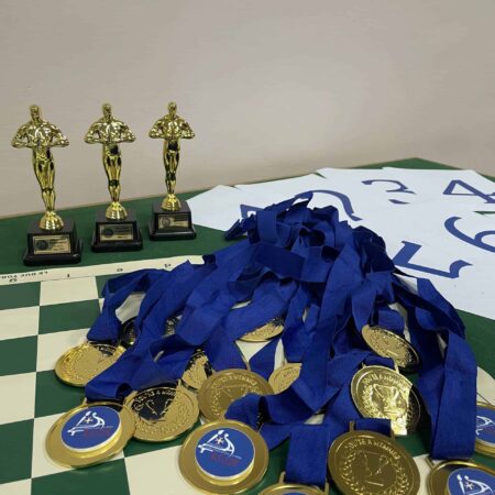 CHESS - offline - 12 lessons Course (60 min, IND)