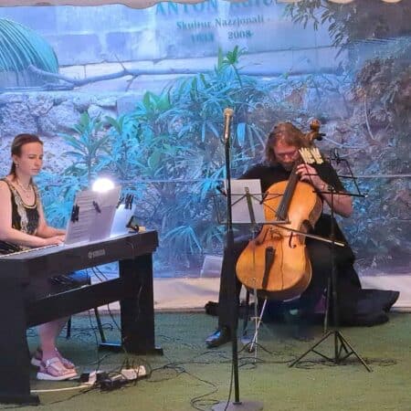 CELLO - 12 lessons Course (45 min, IND)