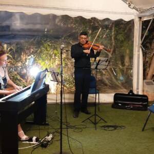 VIOLIN - 24 lessons Course (45 min, IND)