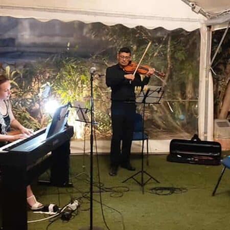 VIOLIN - 45 min Trial Lesson (IND)